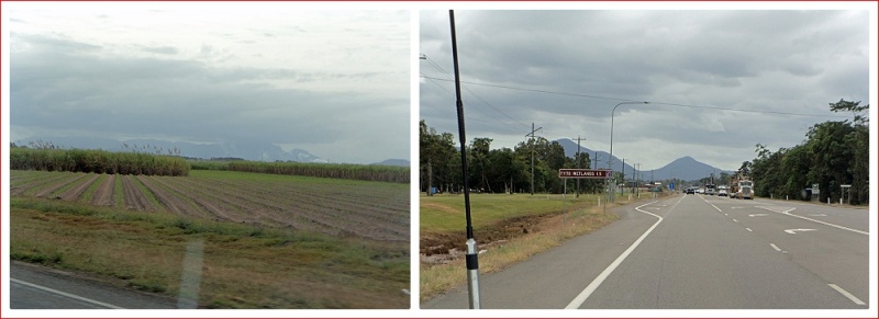 Scenery has changed to mainly sugarcane fields
