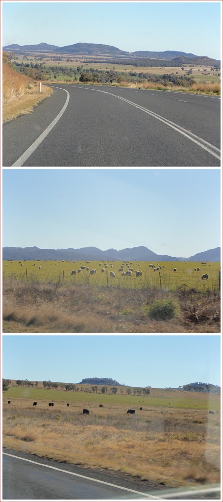 Different scenery along the Newell Highway